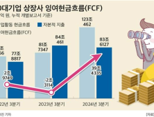 500대 기업 잉여현금흐름 1년새 42조원↑…삼성 21조원 최대