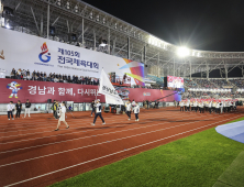 김해시 올해 시정 베스트 1위 '김해 3대 메가이벤트 성공적 개최' 선정 