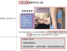 “바르면 지방 분해”…허위·과대 화장품 광고 124건 적발