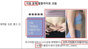 “바르면 지방 분해”…허위·과대 화장품 광고 124건 적발