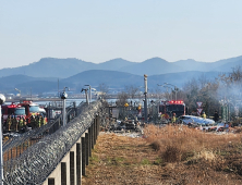 조류 충돌 후 랜딩기어 고장…동체 착륙 중 사고 가능성