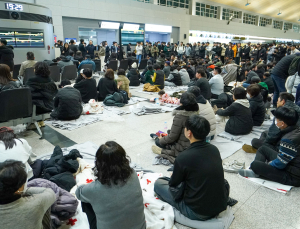 통곡으로 가득찬 무안국제공항 [쿠키포토]