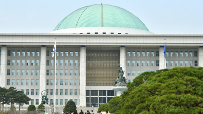 ‘권력구조 개헌’ 국민 10명 중 6명 ‘4년 중임제’ 선호 [쿠키뉴스 신년 여론조사] 