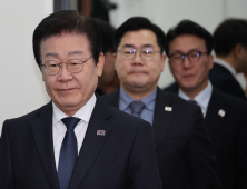 최상목 고발 추진? 민주당, 탄핵 대신 ‘압박 전략’ 선택
