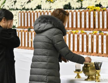 국회, 제주항공특위 구성…유족 맞춤형 지원‧트라우마 치료 필요성↑