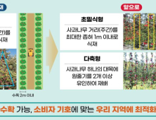 경북도, ‘경북형 평면 사과원(초밀식형+다축형)’ 조성 사업 청신호