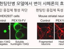 [쿠키과학] '퇴행성 신경질환' 치료하는 '단백질공학'