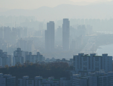 높아진 초미세먼지 농도...환경부, 대기영향예측시스템 지자체에 공개