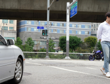 매년 내린다는 車 보험료, 왜 내 보험은 비쌀까 [알기쉬운경제]