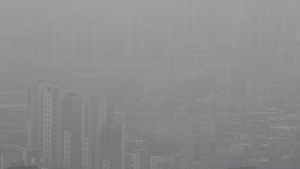 내일도 미세먼지 계속…오전까지 안개 짙어 [날씨]