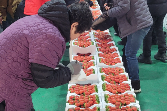 어떤게 맛있을까?