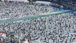 화천산천어축제 돌풍…개막 2주 만에 100만명 돌파