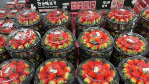 ‘밀양딸기1943’ 전국 소비자들 입맛을 돋우다