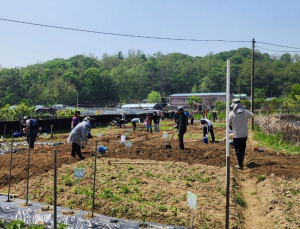 구로구, 궁동 주말농장 분양…540구획 분양 신청·접수