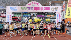 합천벚꽃마라톤대회, 전국을 대표하는 메이저급 마라톤대회로 자리매김