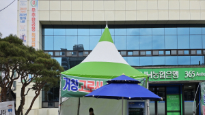 거창군 '귀한 자연의 선물' 고로쇠 수액 판매행사
