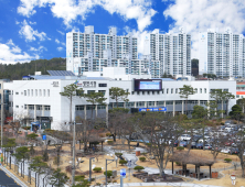 합계출산율 전국 1위 영천시, 임산부 친환경농산물 지원