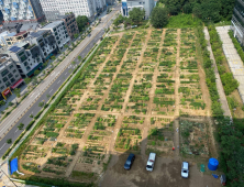 구리시, 유휴지 활용한 도시농부 체험텃밭 무료 분양