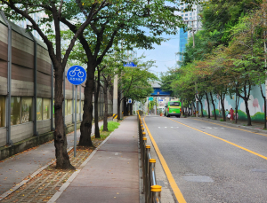 금천구, 벚꽃로 상습 정체 구간 1단계 확장 공사 착공