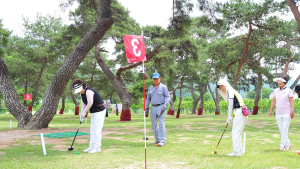 군위군, 국내 최대 180홀 파크골프장 조성…2027년 완공 목표