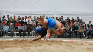 ‘씨름의 고장’ 의성군, 2025 천하장사 씨름대축제 유치