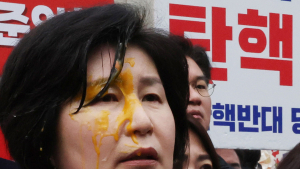 野의원들, 헌재 앞 회견 중 ‘날계란 봉변’…경찰 수사 돌입