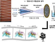 [쿠키과학] '신약개발 열쇠' 단백질구조 고해상도 포착 성공