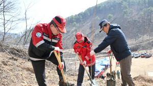 군위군, 제80회 식목일 맞아 산벚나무 770본 식재
