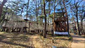 영덕 산성계곡 생태공원 어드벤처, 내달 1일 재개장