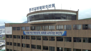 부산 북항 지하차도 및 주변 지역, 부산항건설사무소 분석 용역 진행