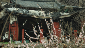 화마가 앗아간 ‘산청의 봄’
