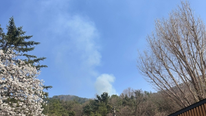 대구 앞산 은적사 인근서 ‘불’…44분 만에 진화