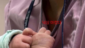신생아 안고 “낙상 마렵다”…대구 대학병원 간호사 아동학대 논란