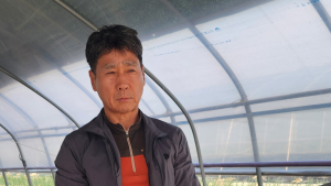 의령 프리미엄 K-3멜론, 서울 가락동 경매시장에서 최고가