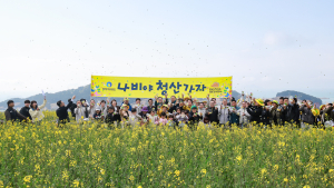 “청산도에서 낮밤 없이 놀아보세!”