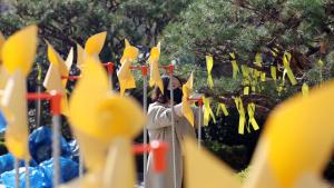 세월호 참사 11주기 앞두고 노란 리본 설치