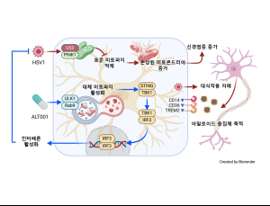 “바이러스 감염, 알츠하이머 가속화…‘ALT001’로 제어 효과”