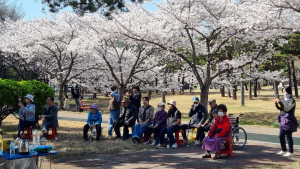 광양제철소, 벚꽃길 버스킹 개최...음악 재능기부