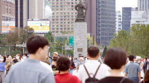 광화문광장서 비둘기 먹이 주면 과태료 최대 100만원…서울시, 오는 7월부터 시행