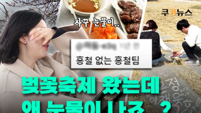 벚꽃은 폈는데 지갑은 닫혔다? 축제 물가 체감기 [이슈 인사이드]