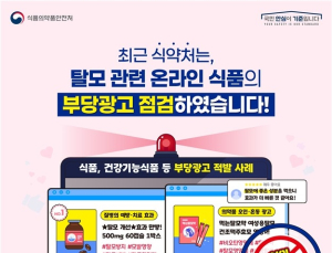 “먹으면 탈모 예방”…식약처, 부당광고 192건 적발
