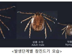 봄철 불청객 ‘참진드기’…질병청, 전국 감시 전개
