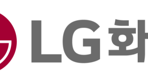 LG화학, 中서 배터리 특허 무효 판정…“항소 검토, 사업엔 영향 無”