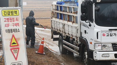 충남 아산서 고병원성 AI 추가 발생…전국 47건으로 늘어