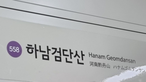지하철 5호선 하남검단산~상일동 열차 한때 운행 중단…34분만 재개