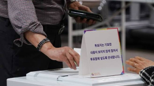 정치·정책 테마주 뛰자 수십억 챙긴 임원들…개미들만 불안
