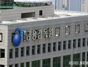 금감원, 대형 GA 2곳 해킹 정황 포착…“고객 정보 유출 확인 중”