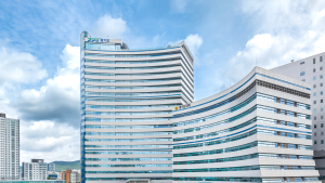 경기도 특사경, 파주 임진각 대북전단 기습 살포에 수사 착수