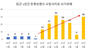 SNS 광고 타고 퍼지는 가짜 쇼핑몰…대응 나선 서울시