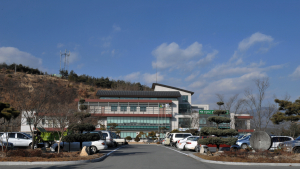 봉화군, 여름딸기 ‘미하’ 테스트 재배 시작...6000주 식재